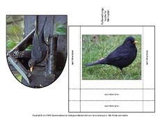 Amsel-Merkzettel-6.pdf